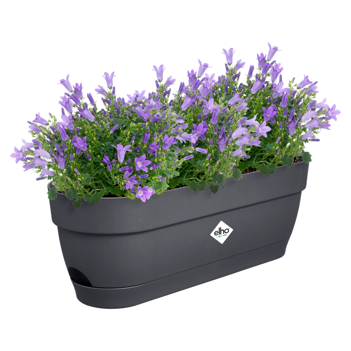 vibia campana balkonbak 50cm antraciet